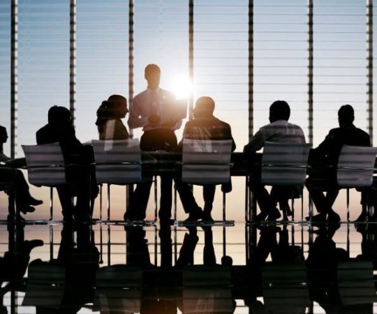 company-secretary-services